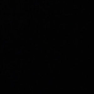 Meet your Posher, Camryn